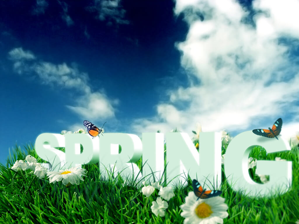 spring cleaning