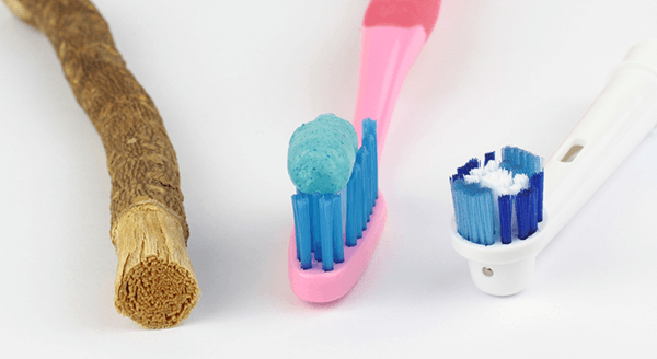 The History of the Toothbrush