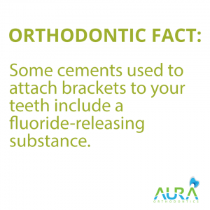 orthodontic fact 3