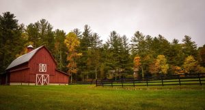 barn-1031613_1280