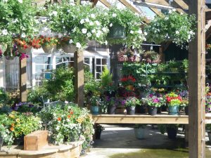 Cloverdale Country Farms (5688 168 Street, Surrey, BC)